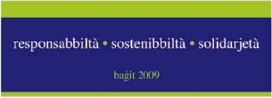 Budget Logo 2009