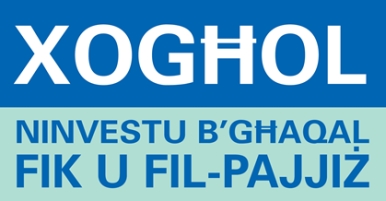 Budget Logo 2010